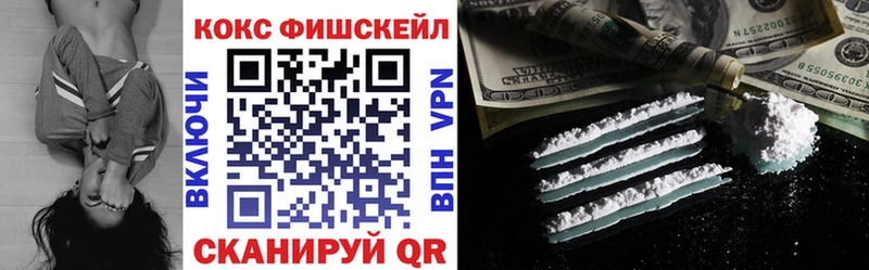 COCAIN Fish Scale  Гдов 